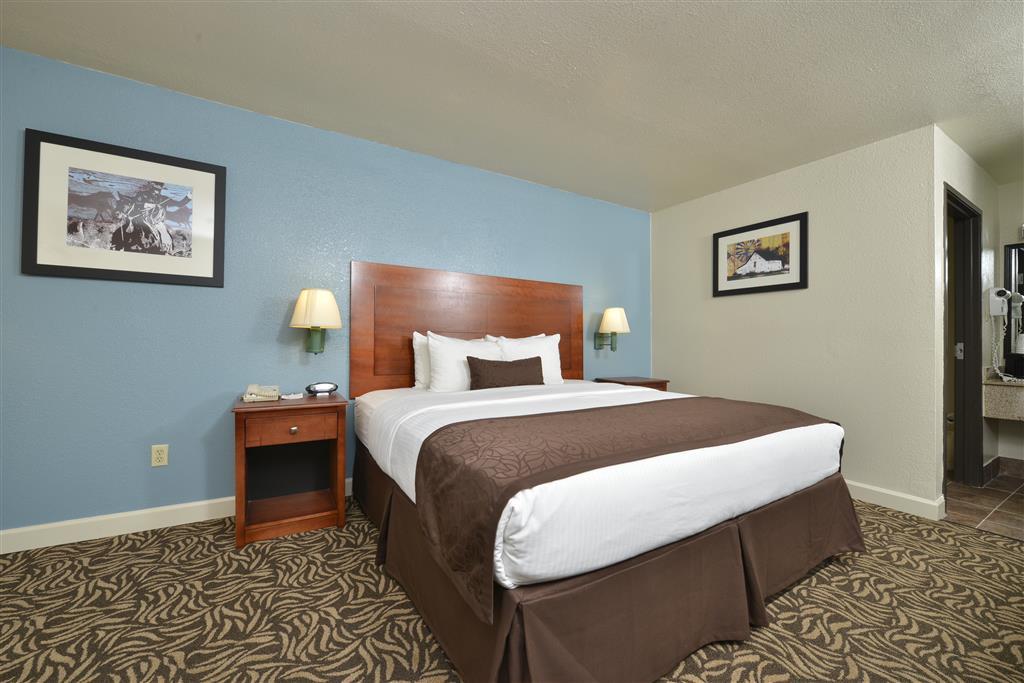 Best Western Regency Inn&Suites Gonzales Kamer foto