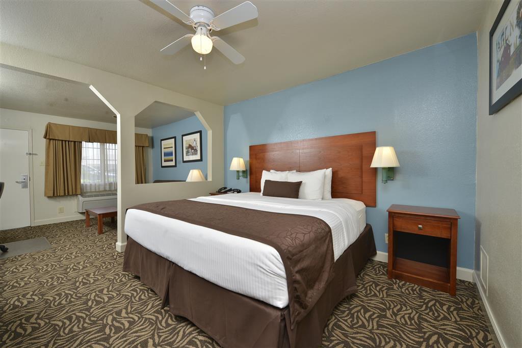 Best Western Regency Inn&Suites Gonzales Kamer foto